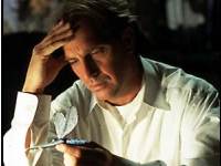
    Costner examines dragonfly
    which we hope wasn't harmed  
    during filming of movie.
    